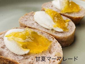 img_20220811-110621.jpg