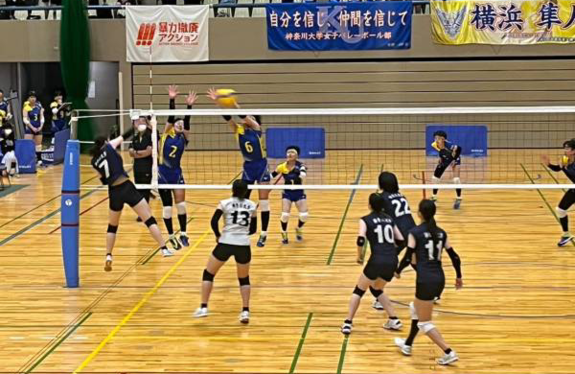 img_20230703-095802.png