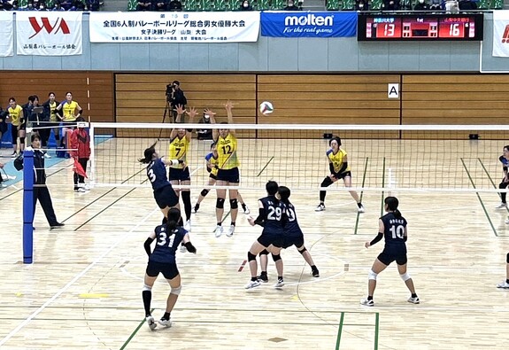 img_20250201-202301.jpg