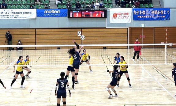 img_20250201-202320.jpg
