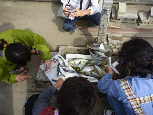 img_20130522-211952.jpg