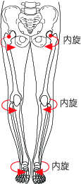 img_20201210-030848.jpg