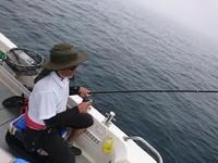 img_20180612-025031.jpg
