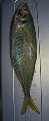 img_20180612-031723.jpg