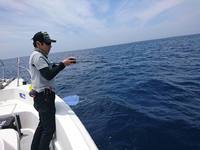 img_20180612-032509.jpg