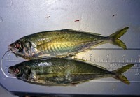 img_20180615-005655.jpg