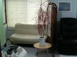 201011011316000.jpg