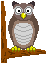 img_20160320-202902.gif