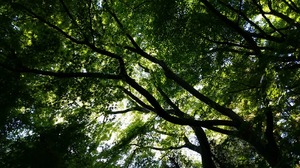 img_20170430-083603.jpg