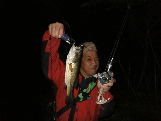 img_20130519-130823.jpg