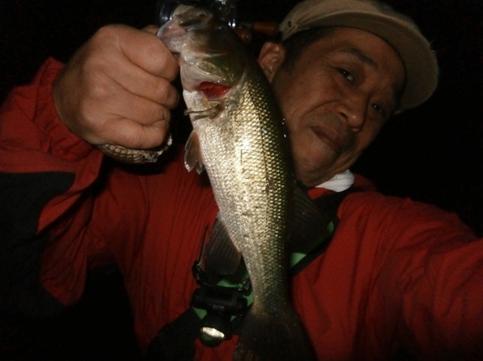 img_20130519-131743.jpg