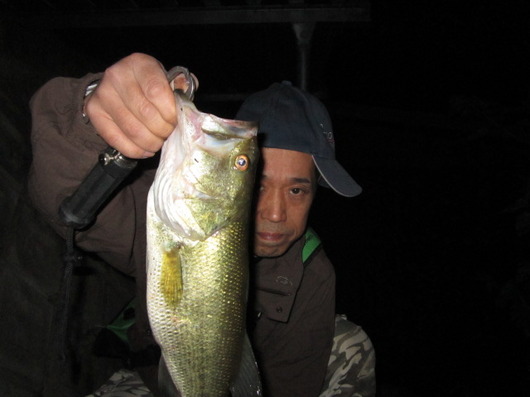 img_20130602-205225.jpg