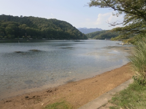 img_20130811-214427.jpg
