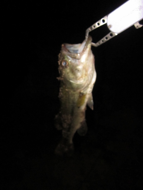 img_20130922-080145.jpg