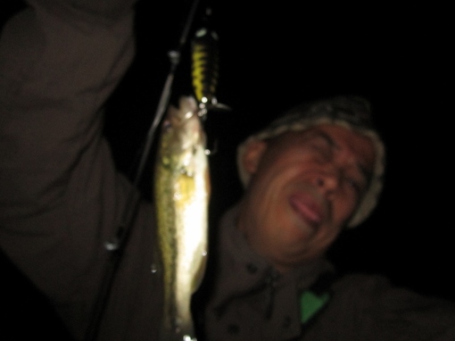 img_20131110-125300.jpg