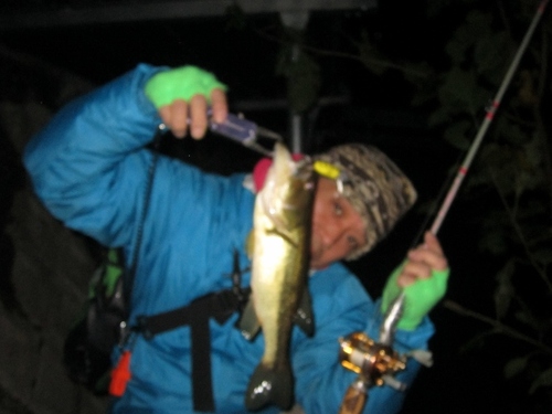 img_20131116-091733.jpg
