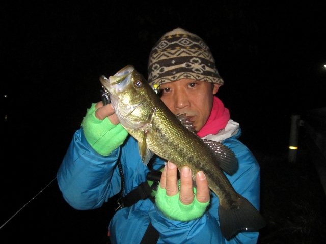 img_20131116-095022.jpg