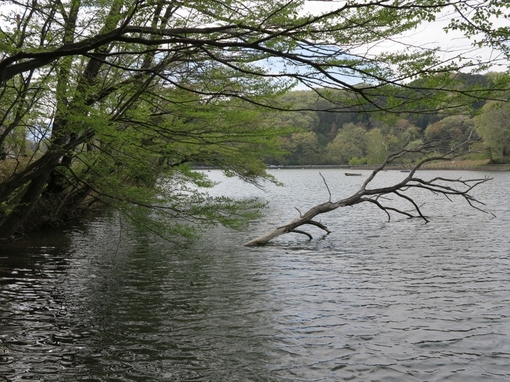 img_20140428-224046.jpg