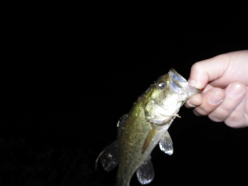 img_20140621-092912.jpg