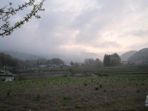 img_20140727-122045.jpg