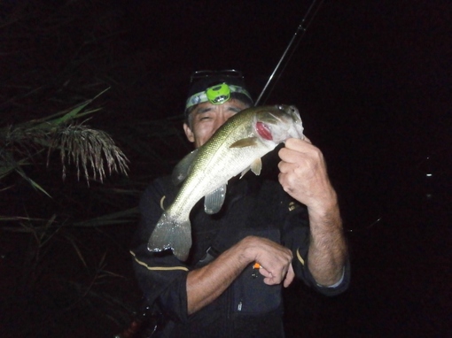 img_20140914-201034.jpg