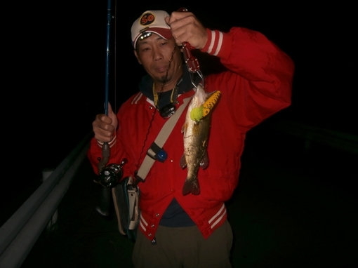 img_20160530-220111.jpg