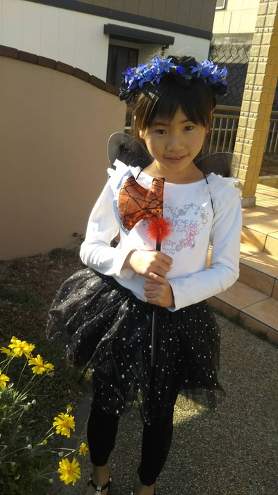img_20201102-133340.jpg