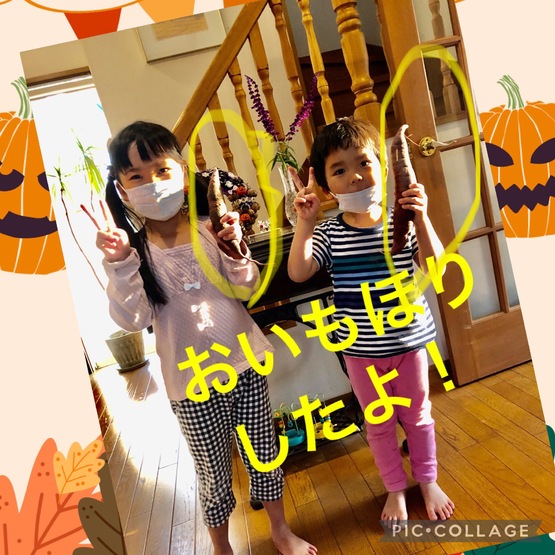 img_20211029-170940.jpg