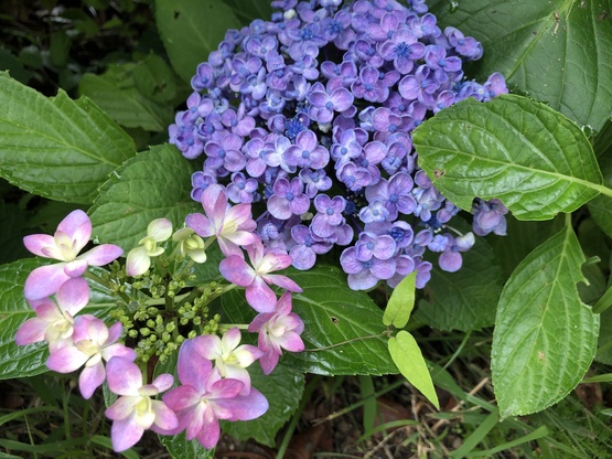 img_20230821-201237.jpg