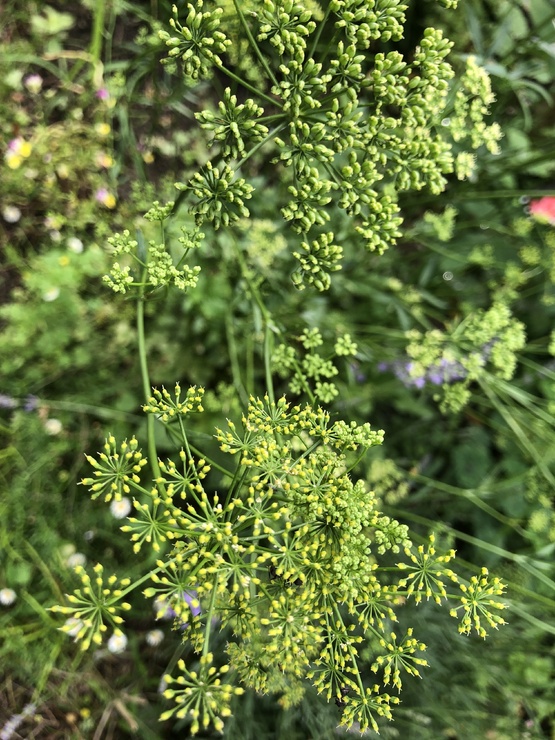 img_20230821-201911.jpg