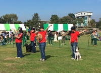 img_20161017-143202.jpg