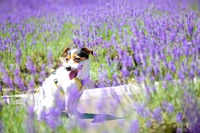 img_20220830-085559.jpg
