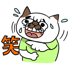 img_20170125-011745.png
