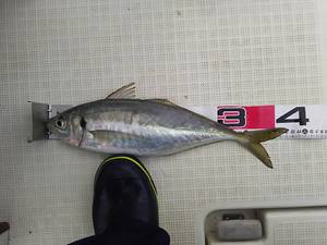 img_20170525-211521.jpg