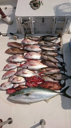 img_20170619-213459.jpg