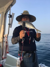 img_20170619-220046.jpg