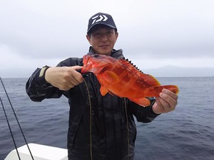 img_20170627-222515.jpg
