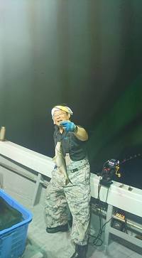 img_20170709-203059.jpg