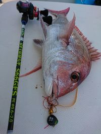 img_20170723-204539.jpg
