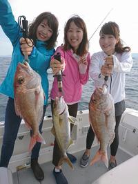 img_20171001-215203.jpg