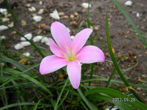 img_20130926-142536.jpg