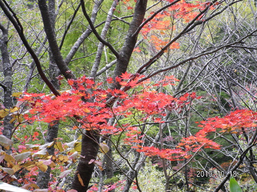 img_20131020-145241.jpg