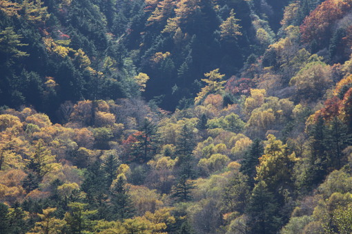 img_20141031-132958.jpg