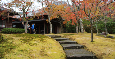 img_20151126-205556.png