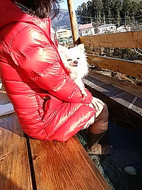 img_20170103-160106.jpg