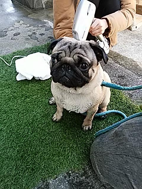 img_20170128-190239.jpg
