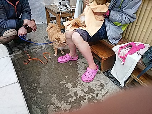 img_20190409-120841.jpg