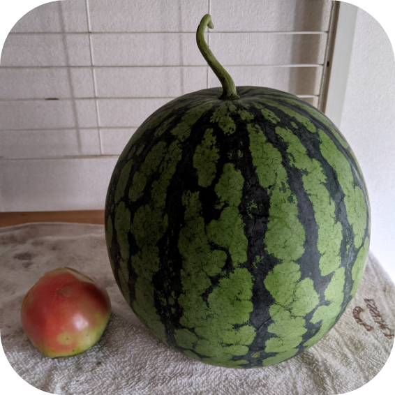 img_20210818-233257.png
