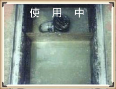 img_20170125-222022.png