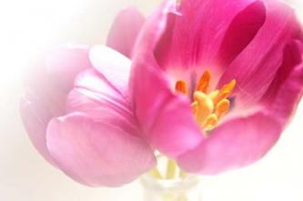 img_20130301-224420.jpg